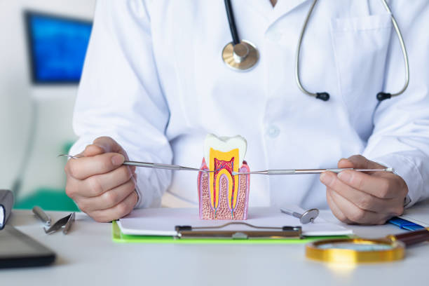 Best Emergency Treatment for Oral Infections in Trenton, IL